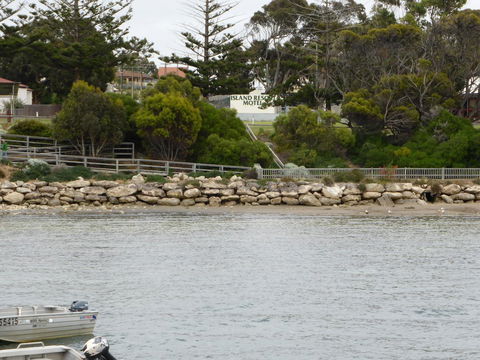 Island Motel Kingscote - Accommodation Search 4