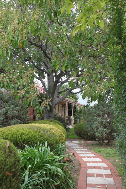 Langmeil Cottages - Accommodation Search 2