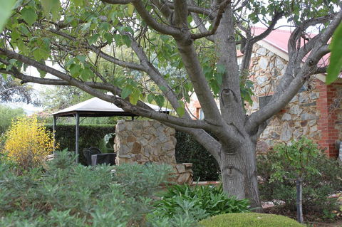 Langmeil Cottages - Accommodation Search 3