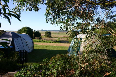 Millicent Hillview Caravan Park - Accommodation Search 43