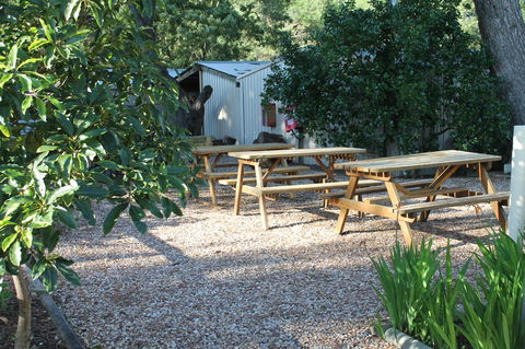 Millicent Hillview Caravan Park - Accommodation Search 9
