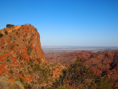 Arkaroola Wilderness Sanctuary - Accommodation Search 7