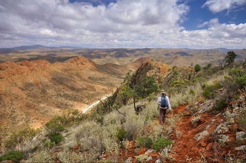Arkaroola Wilderness Sanctuary - Accommodation Search 4