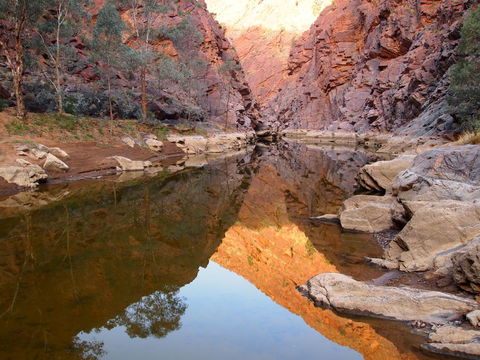Arkaroola Wilderness Sanctuary - Accommodation Search 6