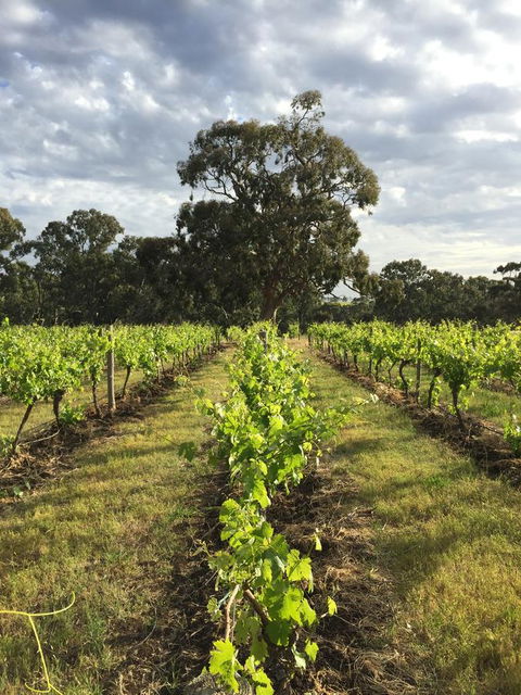 The Winemakers - Accommodation Search 2