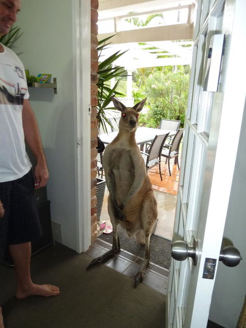 Aston Motel Yamba - Accommodation Search 10