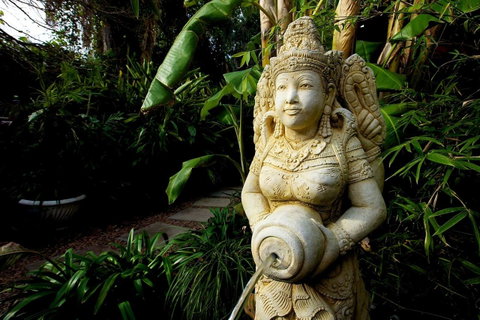 The Lotus Eater - Accommodation Search 18