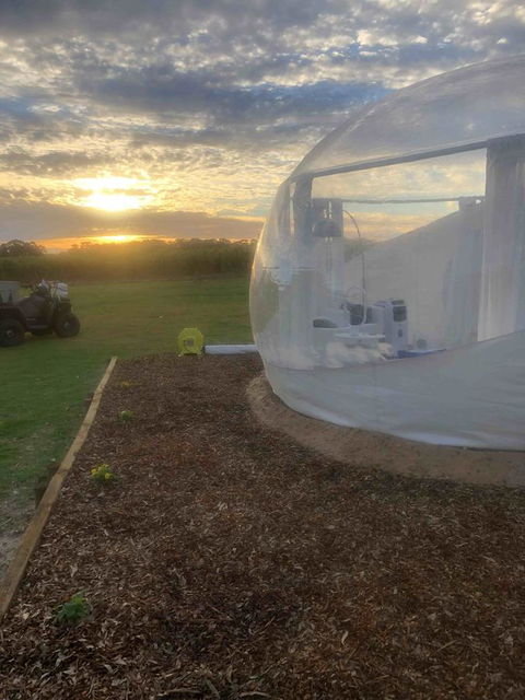 Coonawarra Bubble Tents - Accommodation Search 6