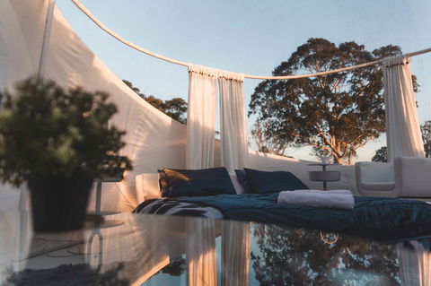 Coonawarra Bubble Tents - Accommodation Search 12