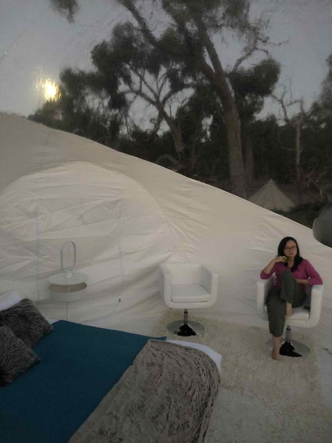 Coonawarra Bubble Tents - Accommodation Search 1