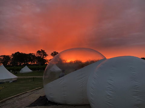 Coonawarra Bubble Tents - Accommodation Search 0