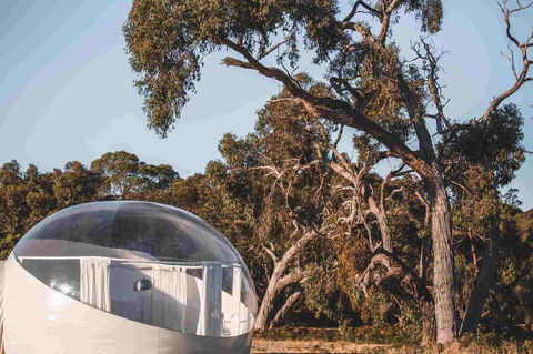 Coonawarra Bubble Tents - Accommodation Search 10