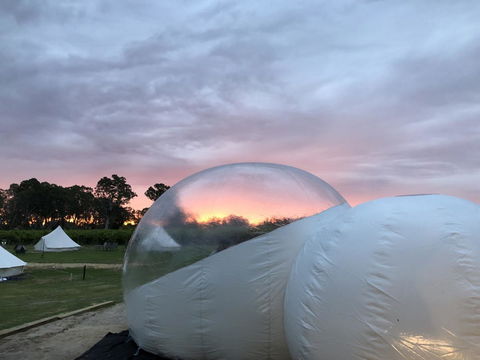 Coonawarra Bubble Tents - Accommodation Search 4