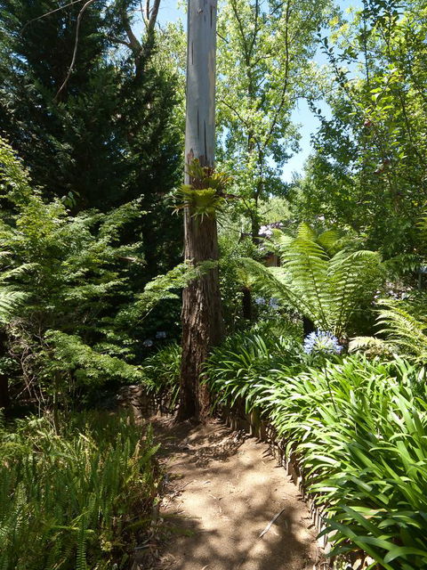Aldgate Creek Cottage Bed And Breakfast - Accommodation Search 27