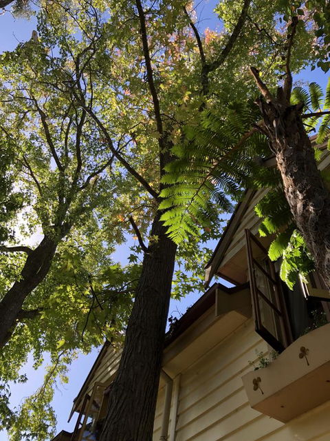 Aldgate Creek Cottage Bed And Breakfast - Accommodation Search 8