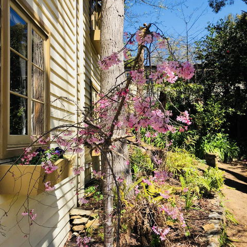Aldgate Creek Cottage Bed And Breakfast - Accommodation Search 19