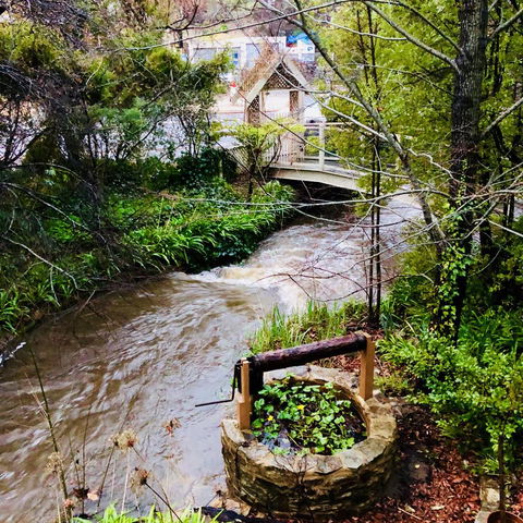 Aldgate Creek Cottage Bed And Breakfast - Accommodation Search 23