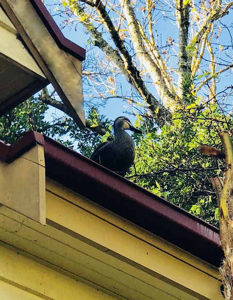 Aldgate Creek Cottage Bed And Breakfast - Accommodation Search 26