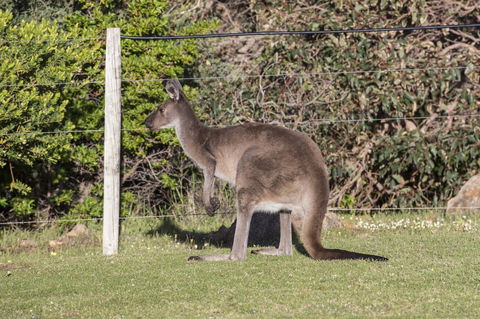 Chandlers Smiths Beach Villas - Accommodation Search 15