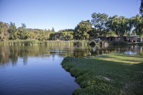 Karrinyup Waters Resort - Accommodation Search 15