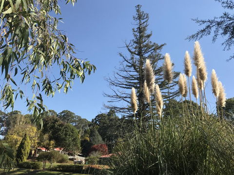 Forest Lodge Resort - Accommodation Search 24