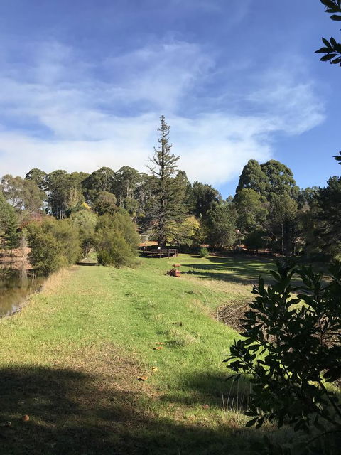 Forest Lodge Resort - Accommodation Search 31
