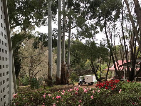 Forest Lodge Resort - Accommodation Search 11
