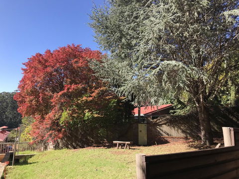 Forest Lodge Resort - Accommodation Search 42