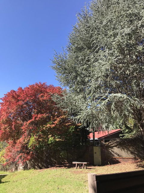 Forest Lodge Resort - Accommodation Search 35