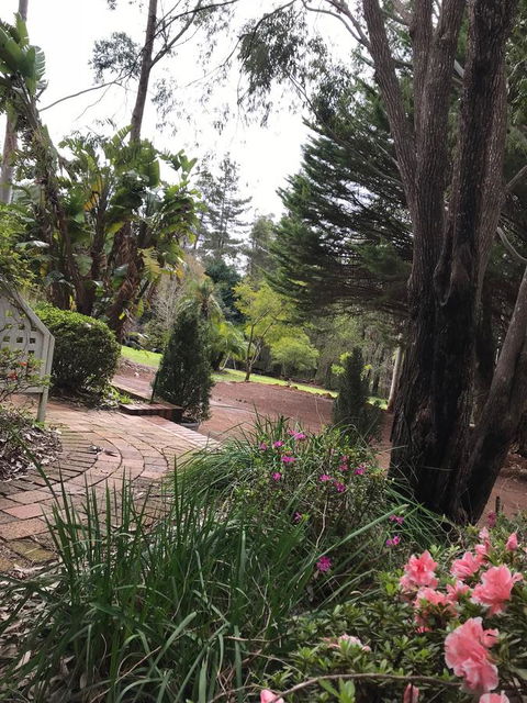 Forest Lodge Resort - Accommodation Search 10