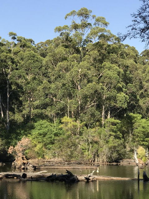 Forest Lodge Resort - Accommodation Search 22