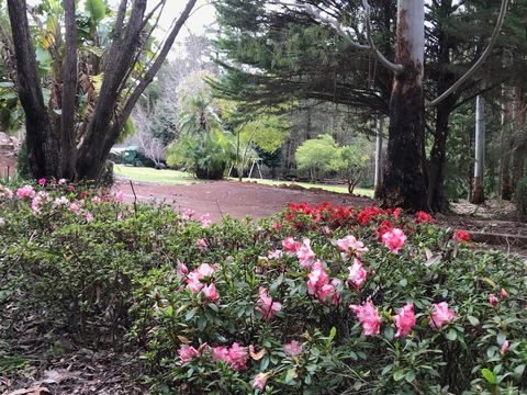 Forest Lodge Resort - Accommodation Search 12