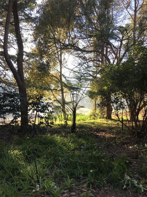 Forest Lodge Resort - Accommodation Search 33