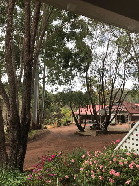 Forest Lodge Resort - Accommodation Search 9