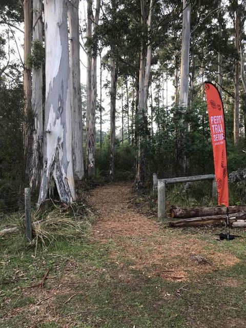 Forest Lodge Resort - Accommodation Search 28