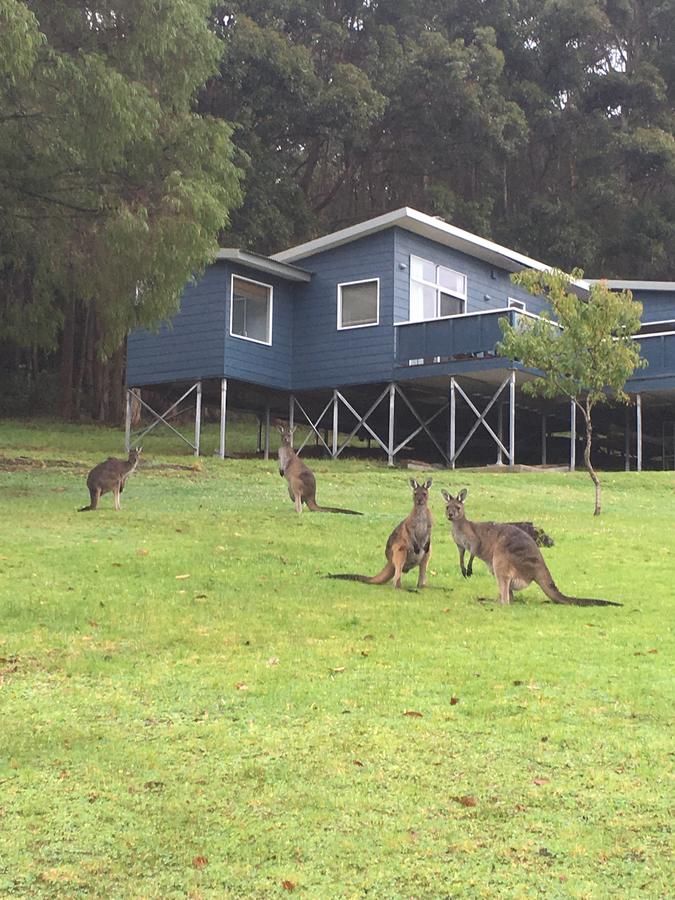 Trent WA Accommodation Search