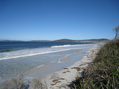 Albany Motel & Apartments - Accommodation Search 18