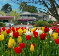 Nesuto Leura Gardens formerly Waldorf Leura Gardens Resort - Accommodation Search