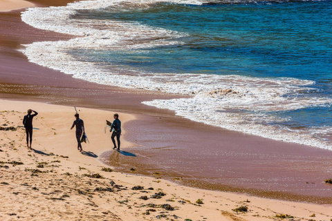 Seabreeze @ Mona Vale - Accommodation Search 17