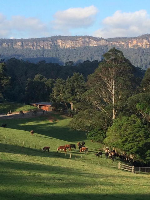 Amaroo Valley Springs - Accommodation Search 0