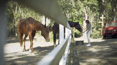 The Woods Farm Jervis Bay - Accommodation Search 13