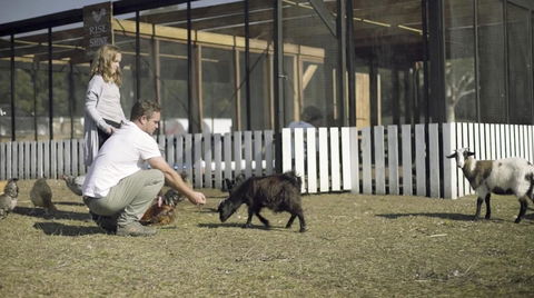 The Woods Farm Jervis Bay - Accommodation Search 14