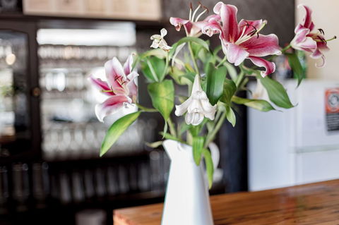 Bundanoon Country Inn Motel - Accommodation Search 12