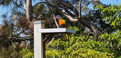 The Edgewater On Greville - Accommodation Search 15