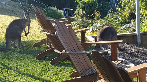 The Edgewater On Greville - Accommodation Search 18