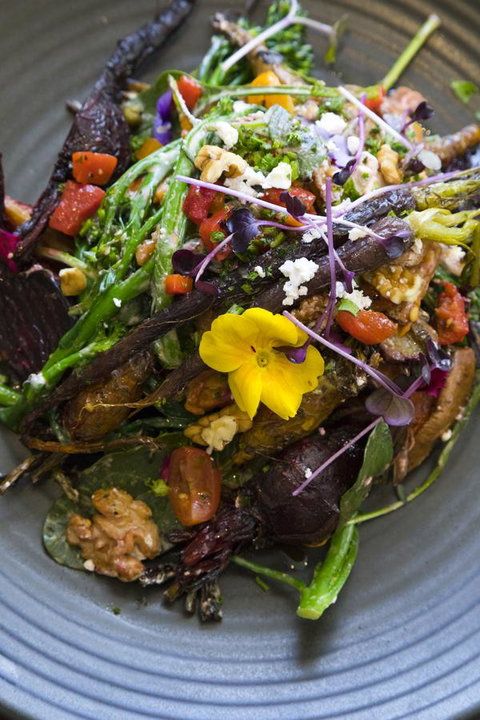 Sage Hotel Wollongong - Accommodation Search 21