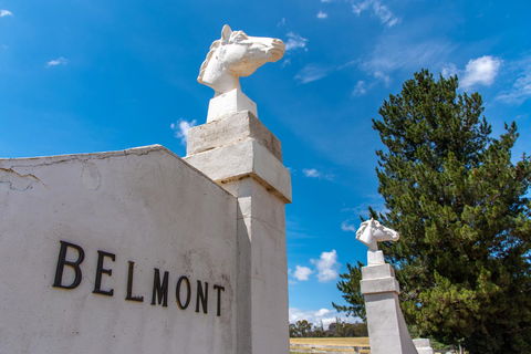 Belmont - Accommodation Search 4