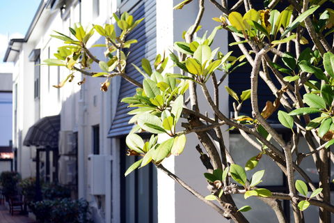 Avoca Randwick By Sydney Lodges - Accommodation Search 34