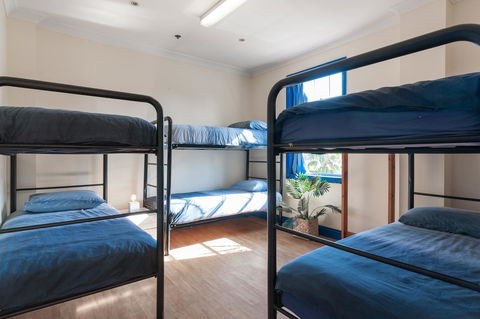Mad Monkey Hostel Coogee Beach - Accommodation Search 24
