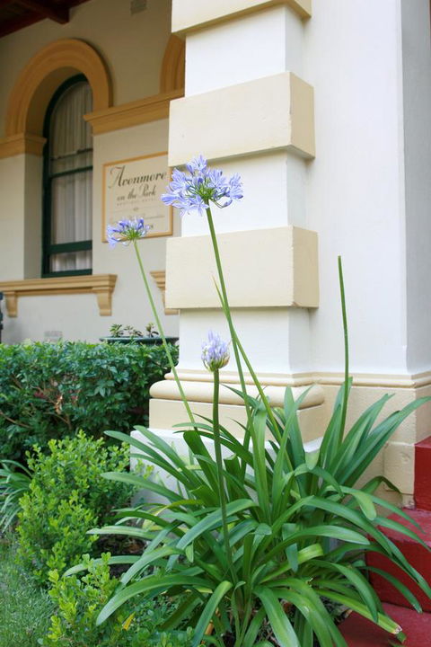 Avonmore On The Park Boutique Hotel - Accommodation Search 15